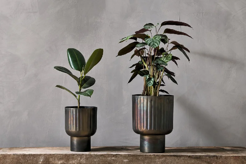 Dasalla Planter - Aged Brass