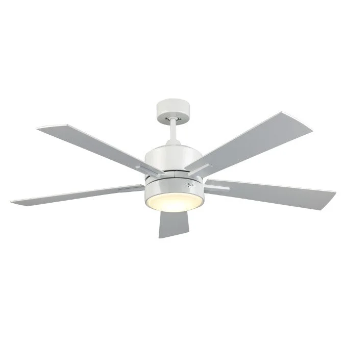 Trans Globe Imports Arden F-1032 BK Ceiling Fan - Black, Black/