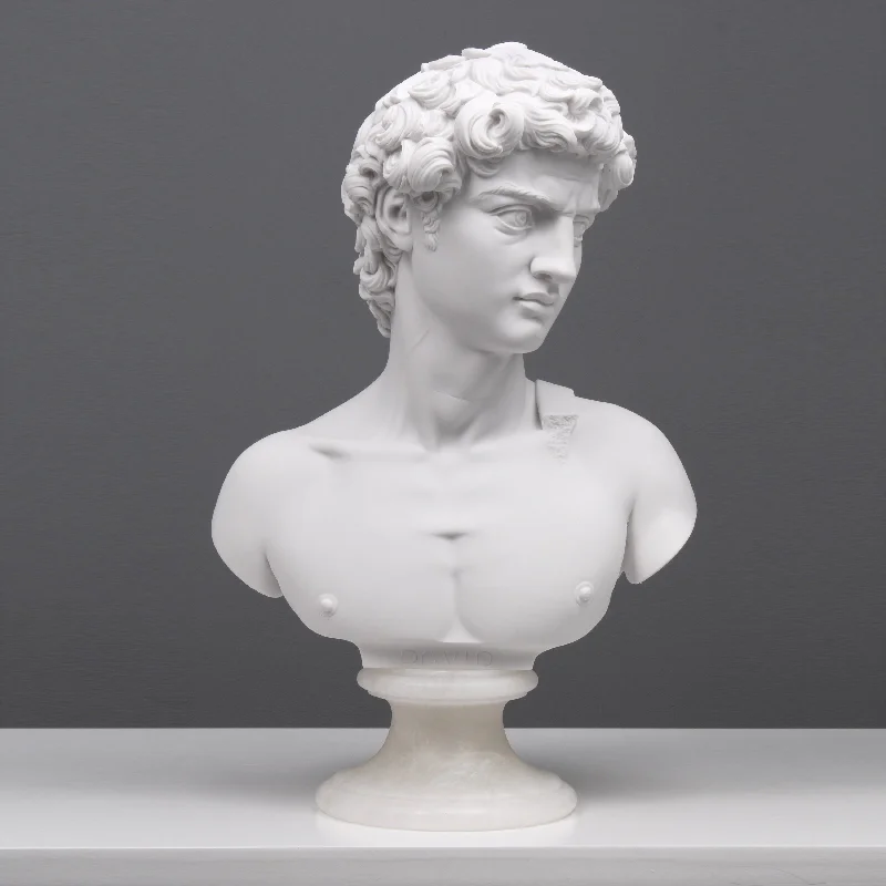 Bust of Michelangelo's David Statue