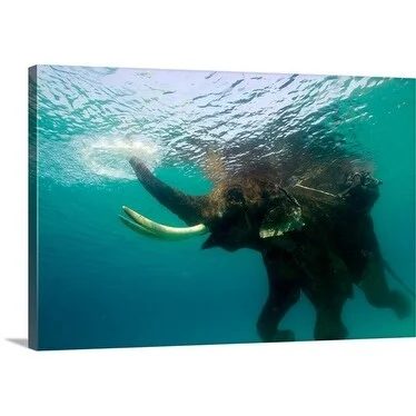 Astrid Schweigert Premium Thick-Wrap Canvas entitled Elephant swimming in the ocean