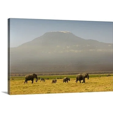 Douglas Steakley Premium Thick-Wrap Canvas entitled Elephants in the wild, Amboseli National Park, Kenya