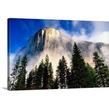 Douglas Steakley Premium Thick-Wrap Canvas entitled Moutain amongst forest in Yosemite National Park