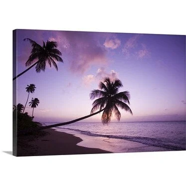 Greg Johnston Premium Thick-Wrap Canvas entitled Palm Trees at Sunset, Saint Kitts and Nevis, Nevis