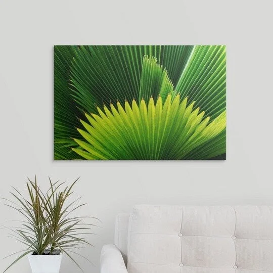 Holger Leue Premium Thick-Wrap Canvas entitled Palm leaves, Gros Islet, St. Lucia