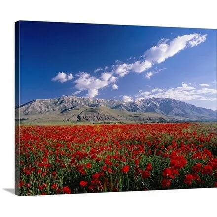 Izzet Keribar Premium Thick-Wrap Canvas entitled Red poppy flowers with mountains in the distance