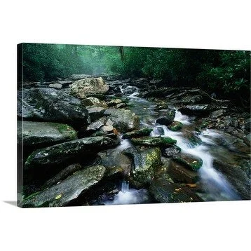 John Elk Premium Thick-Wrap Canvas entitled Rocky stream, Great Smoky Mountains National Park, Tennessee