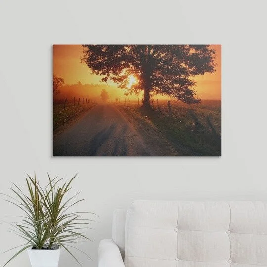 John Elk Premium Thick-Wrap Canvas entitled Sun sets behind tree, Great Smoky Mountains National Park, Tennessee