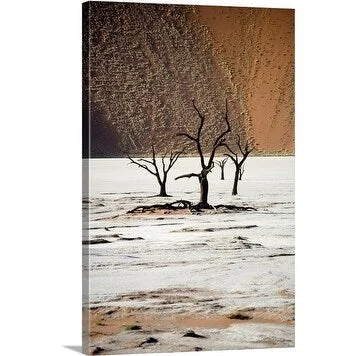 Neil Setchfield Premium Thick-Wrap Canvas entitled Bare Tree, Sesriem, Namibia