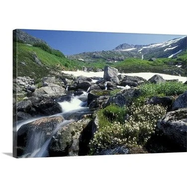 Premium Thick-Wrap Canvas entitled Alpine flowers, Lake Dorthy, Tongass National Forest, Alaska