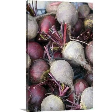 Premium Thick-Wrap Canvas entitled Beetroot (Beta vulgaris var. 'Conditiva')