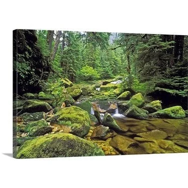 Premium Thick-Wrap Canvas entitled Creek in northern temperate rainforest, Princess Royal Island, British Columbia,