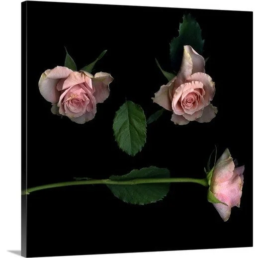 Premium Thick-Wrap Canvas entitled Face composition of cut flowers on black background