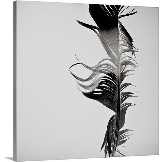 Premium Thick-Wrap Canvas entitled Feather