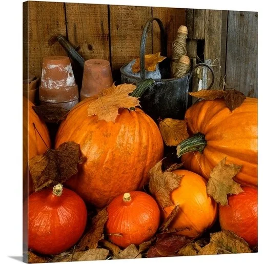 Premium Thick-Wrap Canvas entitled Pumpkin , var. 'Rocket', display next to a watering can and stacked terracota pots