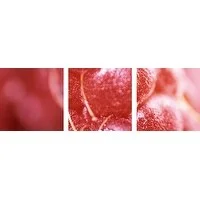 Premium Thick-Wrap Canvas entitled Raspberries, close-up of fruit