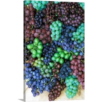 Premium Thick-Wrap Canvas entitled Selection of blue, green and purple grapes that have been harvested