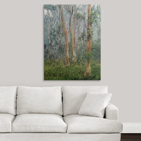 Premium Thick-Wrap Canvas entitled Snow Gums at Mt Tamboritha Saddle in the Alpine National Park, Victoria, Australia