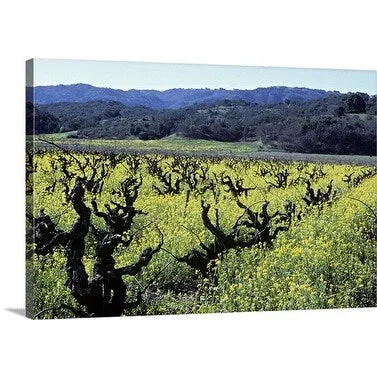 Premium Thick-Wrap Canvas entitled Wild mustard and wine grape vines, Sonoma valley, California