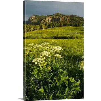 Premium Thick-Wrap Canvas entitled Yellowstone National Park USA