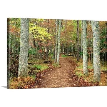 Richard Cummins Premium Thick-Wrap Canvas entitled Path in Great Smoky Mountains National Park, Tennessee, USA