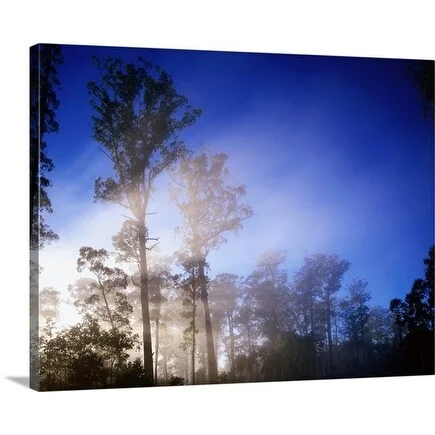 Rob Blakers Premium Thick-Wrap Canvas entitled Australia, Tasmania, Cradle Mountain-Lake St Clair National Park,